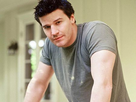 David Boreanaz