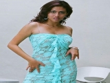 Sada